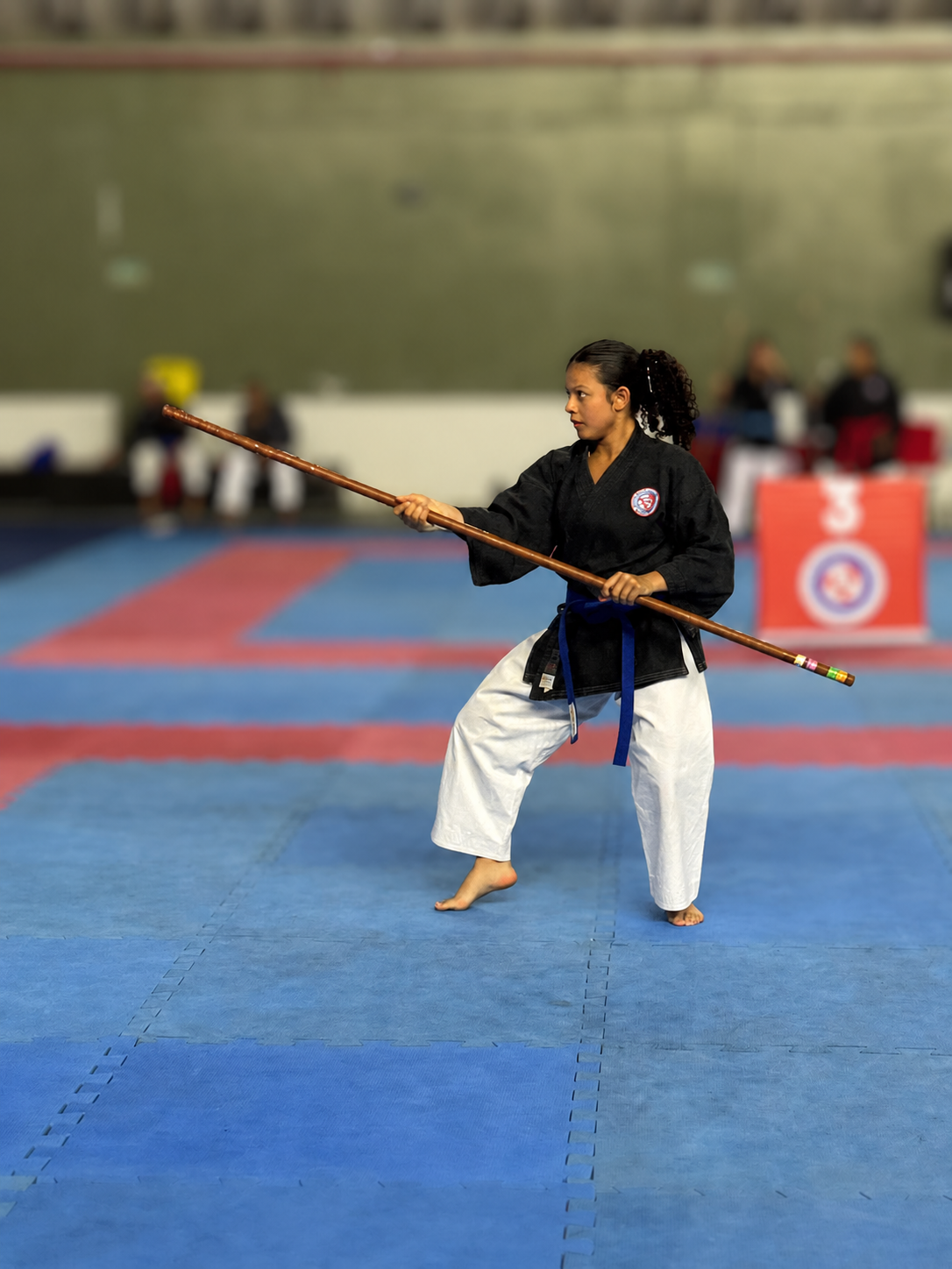 Kobudo